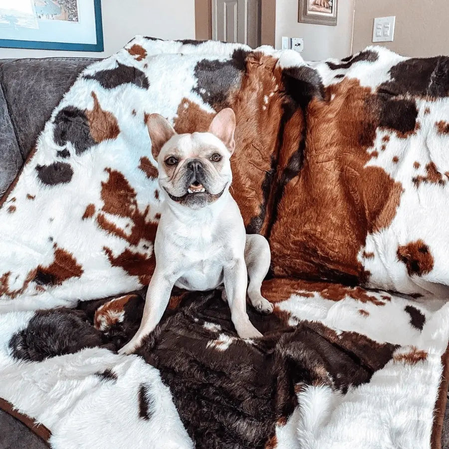 Pupprotector Waterproof Luxury Faux Fur Washable Dog Throw Blanket, 60" L X 50" W, Brown Faux Cowhide